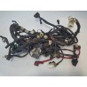 Cablaggio impianto elettrico telaio Yamaha X-Max 250 (E3) (10-14) X-Max 250 ABS 