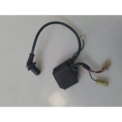 Centralina accensione Malaguti F12 Phantom 50 (E2) F12 Phantom 50 AC 