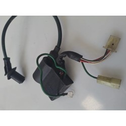 Centralina accensione Malaguti F12 Phantom 50 (E2) F12 Phantom 50 AC 