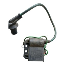 Centralina accensione Malaguti F12 Phantom 50 (E2) F12 Phantom 50 AC 