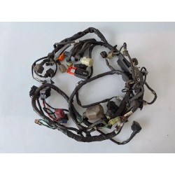 Cablaggio impianto elettrico telaio Honda SH 300 (E3) (10-) SH 300 ABS 