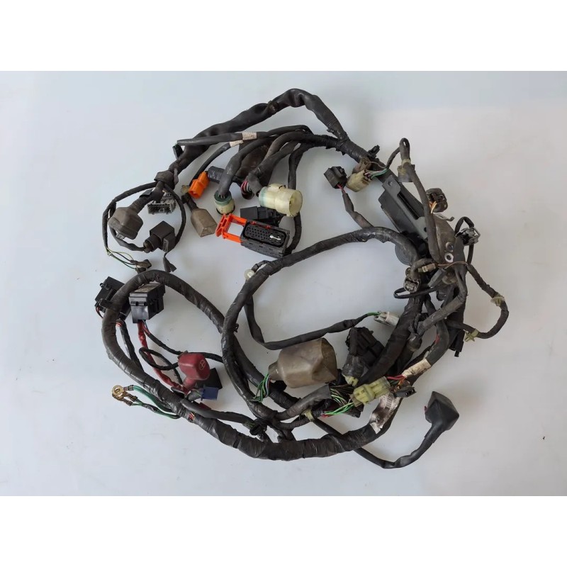Cablaggio impianto elettrico telaio Honda SH 300 (E3) (10-) SH 300 ABS 
