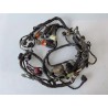 Cablaggio impianto elettrico telaio Honda SH 300 (E3) (10-) SH 300 ABS 