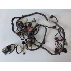 Cablaggio impianto elettrico telaio Honda SH 300 (E3) (10-) SH 300 ABS 