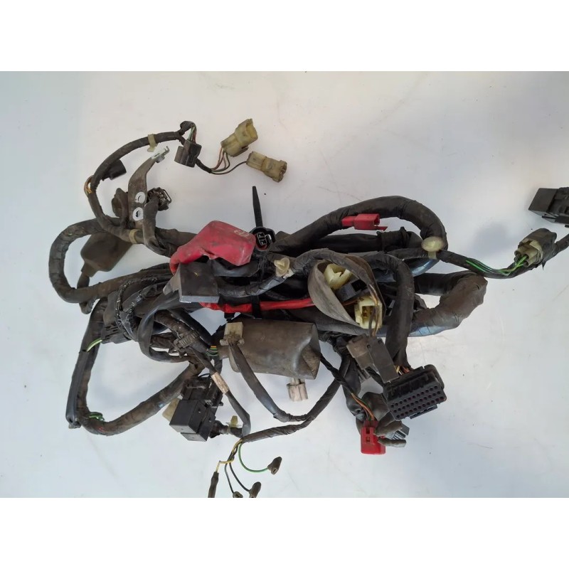 Cablaggio impianto elettrico telaio Honda SH 300 (E3) (10-) SH 300 Sporty 