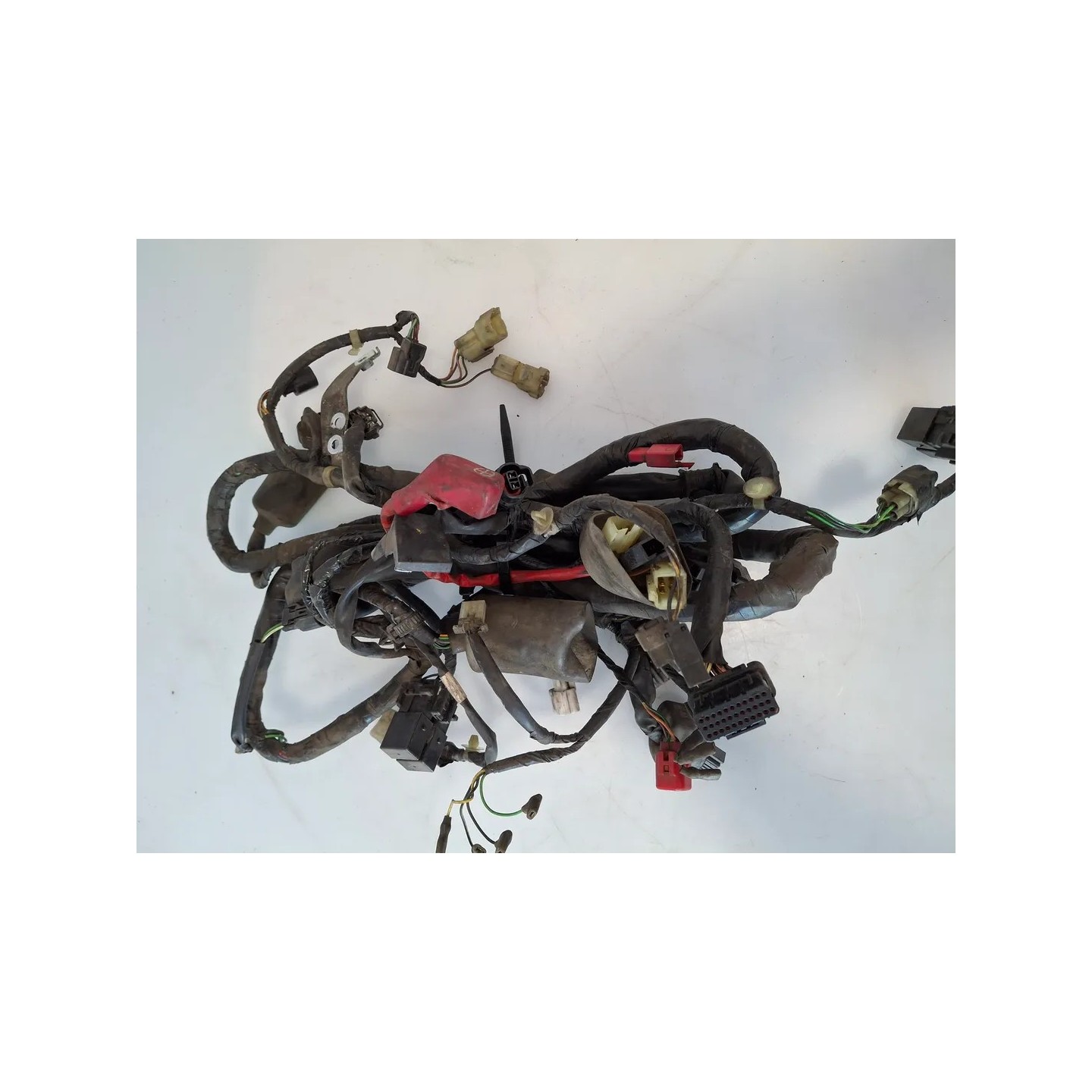 Cablaggio impianto elettrico telaio Honda SH 300 (E3) (10-) SH 300 Sporty 