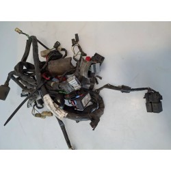 Cablaggio impianto elettrico telaio Honda SH 300 (E3) (10-) SH 300 Sporty 