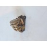 Pinza freno posteriore completo Kawasaki Z 750 (E2) Z 750 