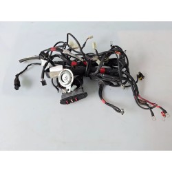 Cablaggio impianto elettrico telaio Malaguti Centro 50 Centro 50 4T 