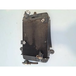 Radiatore Honda SH 300 (E3) (10-) SH 300 ABS 