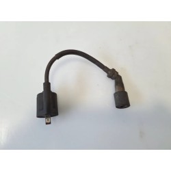 Bobina Yamaha X-Max 250 (E3) (10-14) X-Max 250 ABS 