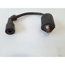 Bobina Yamaha X-Max 250 (E3) (10-14) X-Max 250 ABS 