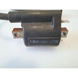 Bobina Yamaha X-Max 250 (E3) (10-14) X-Max 250 ABS 