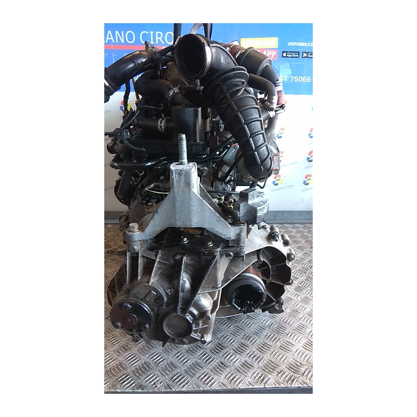 CAMBIO COMPL. 042 FORD FOCUS (CAK) (10/01-04/05) F9DA 1149180