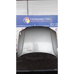 COFANO ANT. 004 VOLKSWAGEN PASSAT (3B) (10/00-03/06) AVF 3B0823031K