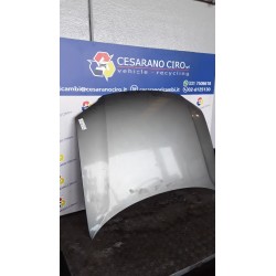 COFANO ANT. 004 VOLKSWAGEN PASSAT (3B) (10/00-03/06) AVF 3B0823031K