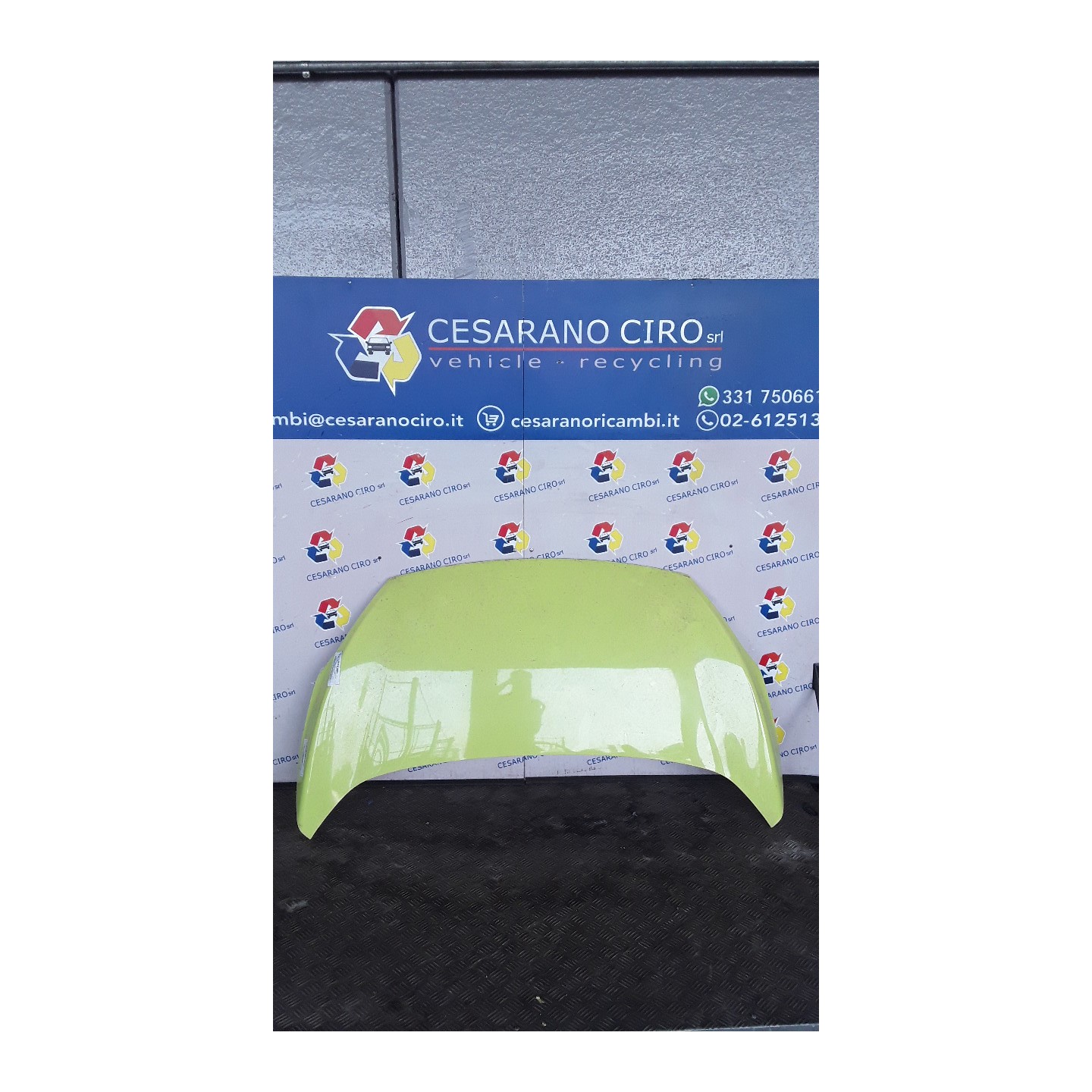 COFANO ANT. 024 FORD KA (CCU) (10/08-03/17) 169A4000 1542417