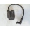 Bobina Aprilia Scarabeo 50 2T (10-14) Scarabeo 50 2T Net (Motore Piaggio) 