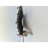 Radiatore Suzuki GSX-R 750 (E3) GSX-R 750 