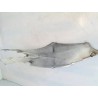 Codone Piaggio Liberty 125 3V i.e. (E4) Liberty 125 I-get ABS 3V i.e. (E4) Destro
