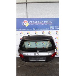 PORTELLO POST. 028 PEUGEOT 308 (07/13-12/18) HN01 1610669880