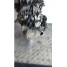 CAMBIO COMPL. 084 LANCIA Y (01/96-10/00) 176B9000 46766069