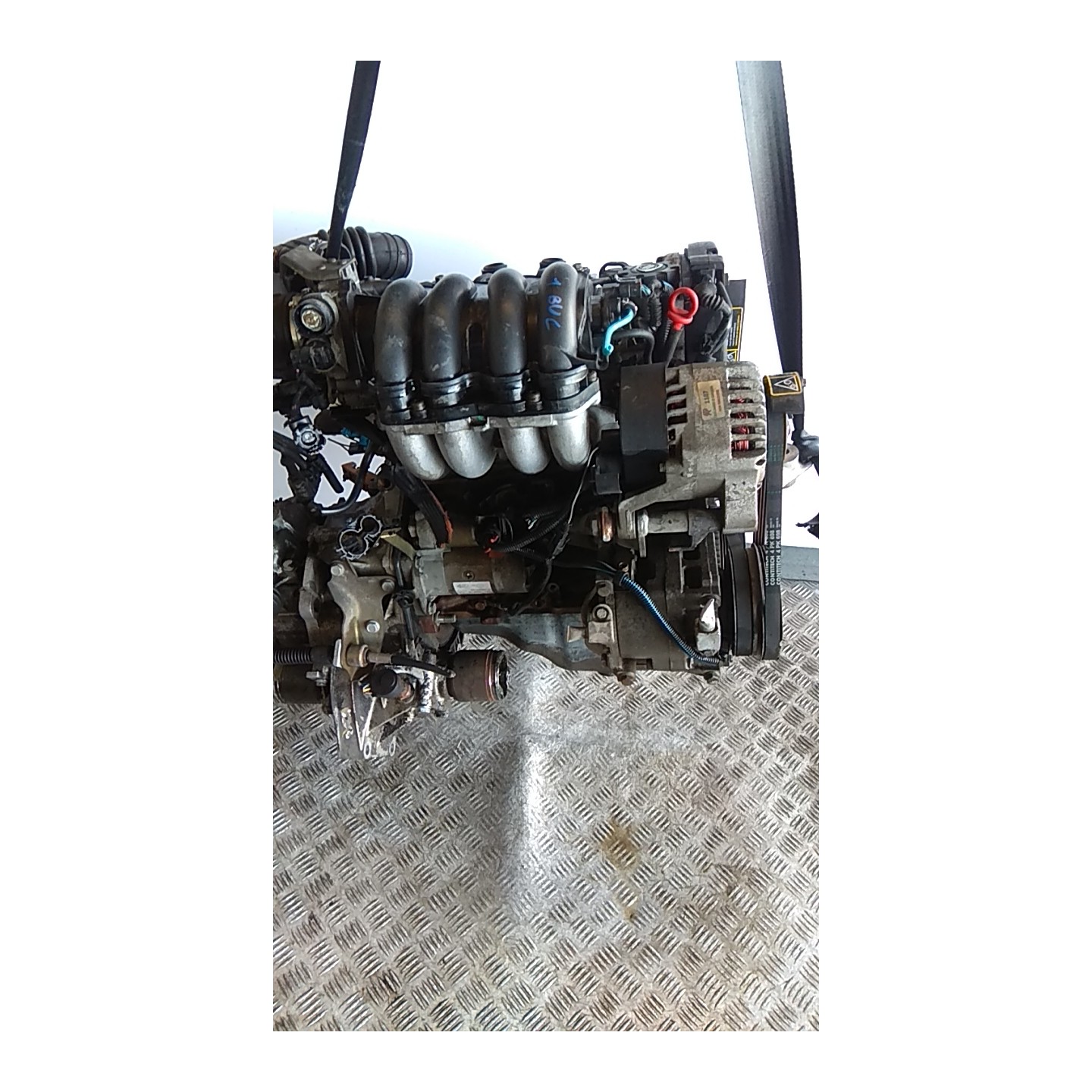 MOTORE SEMICOMPL. 085 LANCIA Y (01/96-10/00) 176B9000 71719766
