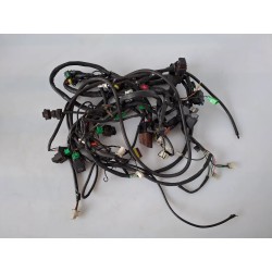 Cablaggio impianto elettrico telaio Aprilia Scarabeo (12-18) Scarabeo 200 Light i.e. 