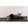 SEMIALBERO ANT. COMPL. SX. 052 VOLKSWAGEN POLO 3A SERIE (11/94-09/01) AUD 6N0407451DX