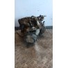 CAMBIO COMPL. 087 FIAT ULYSSE (PG) (06/94-09/02) RHZ 9567399588