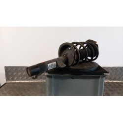 AMMORTIZZATORE ANT. SX. 034 FORD TRANSIT CONNECT (TC7) (12/02-) RWPA 1520657