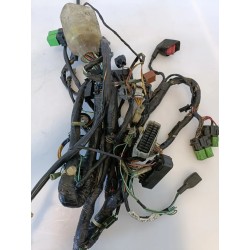 Cablaggio impianto elettrico telaio Honda Silver Wing 600 (E1) Silver Wing 