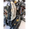 Cablaggio impianto elettrico telaio Honda Silver Wing 600 (E1) Silver Wing 