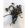 Cablaggio impianto elettrico telaio Honda Silver Wing 600 (E1) Silver Wing 