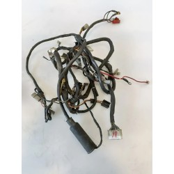 Cablaggio impianto elettrico telaio Piaggio Free 50 (E0) Free 50 