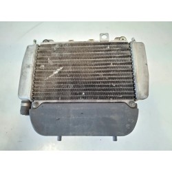 Radiatore Piaggio X9 250 (E2) X9 250 Evolution 