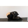 AMMORTIZZATORE ANT. SX. 066 LANCIA LYBRA (05/99-10/06) 182A4000 46521758