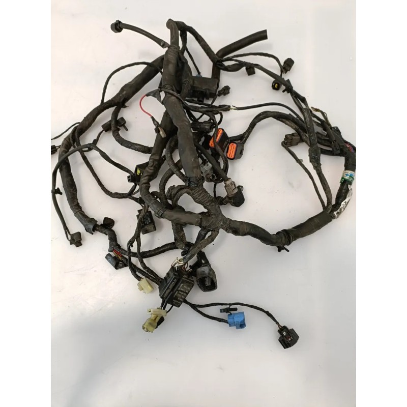 Cablaggio impianto elettrico telaio Kawasaki ER-6N (09-12) ER-6N 