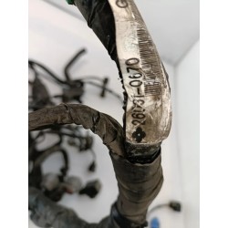 Cablaggio impianto elettrico telaio Kawasaki ER-6N (09-12) ER-6N 