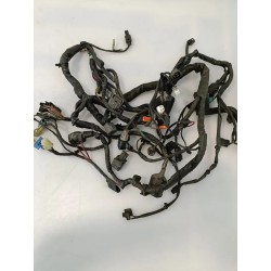 Cablaggio impianto elettrico telaio Kawasaki ER-6N (09-12) ER-6N 