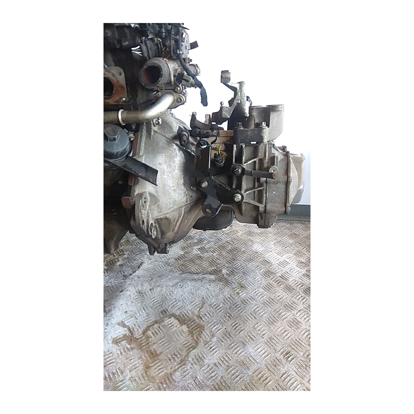 CAMBIO COMPL. 004 FIAT CROMA (2T) (04/05-10/07) 939A4000 55565115