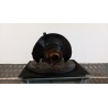 MONTANTE SOSP. ANT. SX. 059 SUZUKI IGNIS 1A SERIE (10/00-10/03) M13A 4515078810000