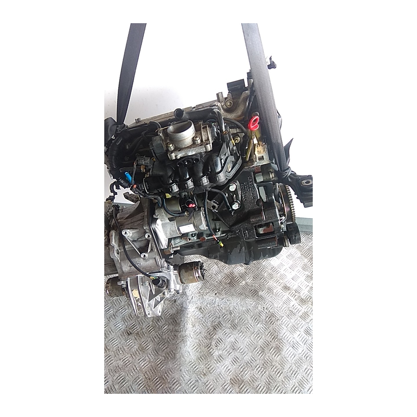 MOTORE SEMICOMPL. 005 FIAT SEICENTO (1E) (02/98-07/05) 187A1000 71718388