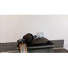 SEMIALBERO ANT. COMPL. SX. 092 FIAT PANDA (4Q) (05/16-03/22) 312A2000 52065090