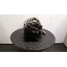 ALTERNATORE 016 NISSAN QASHQAI (J10E/JJ10E) (09/10-09 K9K 23100JD10A