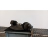 SEMIALBERO ANT. COMPL. SX. 043 AUDI A4 (8K) (09/07-03/13) CAG 8K0407271Q