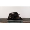 AMMORTIZZATORE ANT. DX. 023 FORD KUGA (CBV) (04/08-09/13) G6DG 1570023
