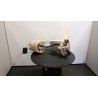 POMPA CARBURANTE C/TRASDUTTORE (GALLEGGIANTE) 020 TOYOTA YARIS (11/05-02/12) 1KRFE 770200D081