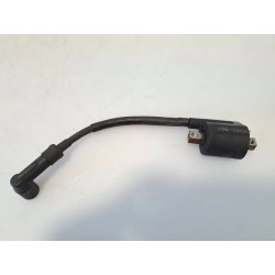 Bobina Yamaha Aerox 50 (03-13) Aerox 50 (50th Anniversary) 