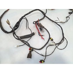 Cablaggio impianto elettrico telaio Piaggio Liberty 50 2T (E2) (09-16) Liberty 50 2T RST 